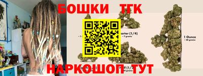 гидропоника Новодвинск