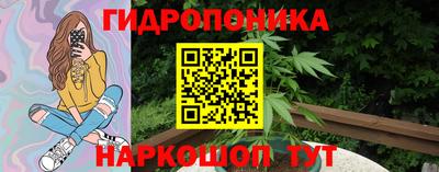 гидропоника Новодвинск