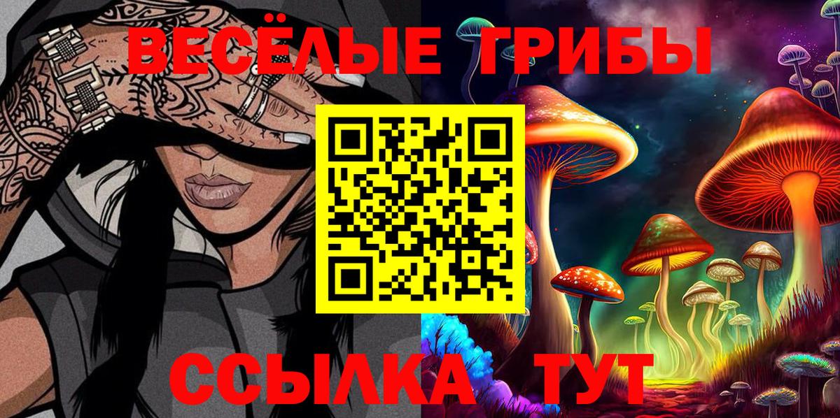 Галлюциногенные грибы Magic Shrooms Анжеро-Судженск