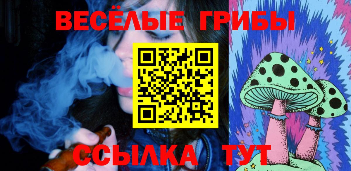 Анжеро-Судженск  Галлюциногенные грибы Magic Shrooms  Вход с VPN 